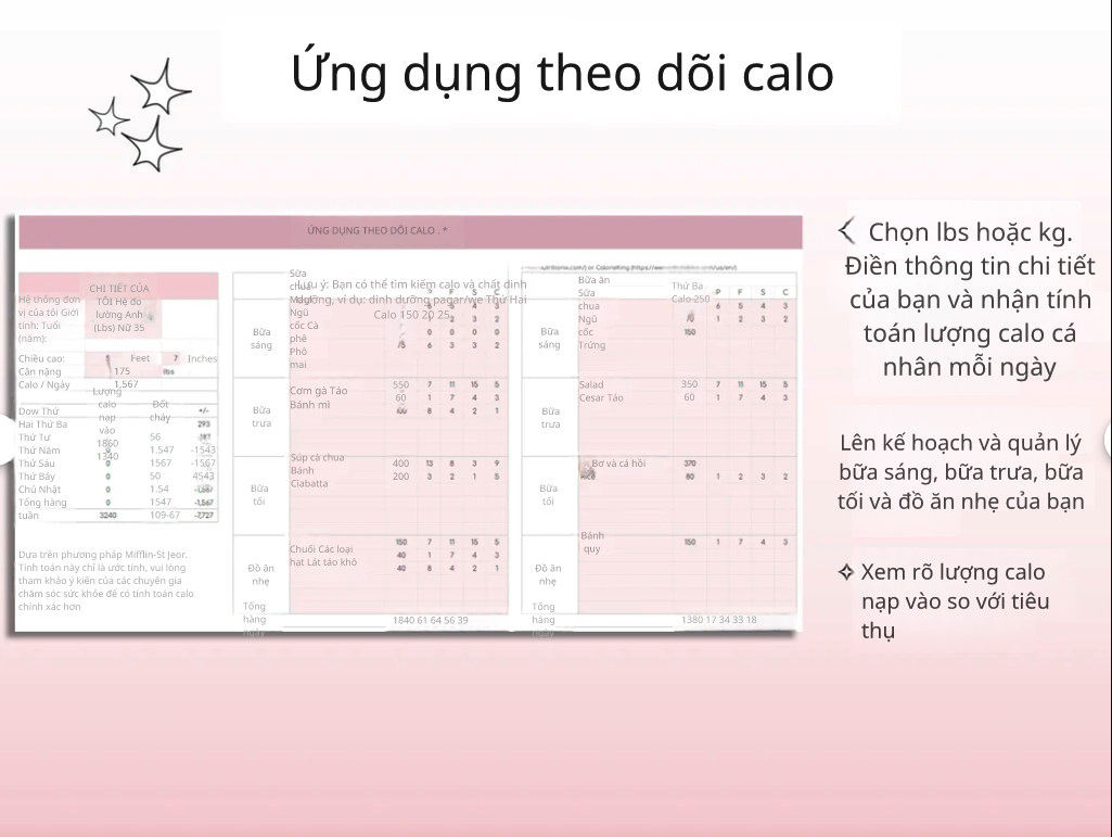 Chinh Phục Mục Tiêu Giảm Cân & Fitness Với Bộ Công Cụ 8 trong 1 - Ảnh 5